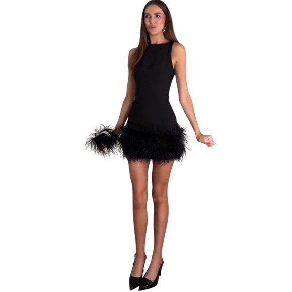 Zara Dresses & Skirts - Zara Black Sleeveless Feather Trim Mini Viral  Dress Small Cockail Party LBD